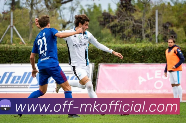 MK体育SPORTSAPP 封面图